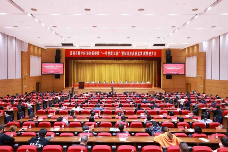 全力打造工業強縣升級版！嘉善這樣干→